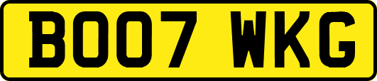 BO07WKG