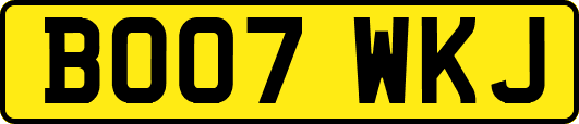 BO07WKJ