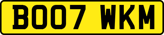 BO07WKM
