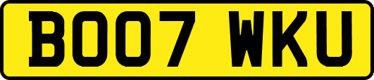 BO07WKU
