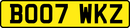 BO07WKZ
