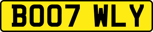 BO07WLY