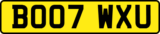 BO07WXU