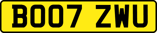 BO07ZWU