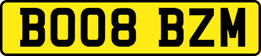 BO08BZM