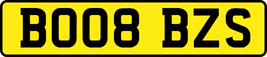 BO08BZS