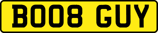 BO08GUY