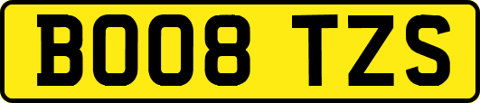 BO08TZS
