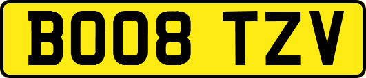 BO08TZV