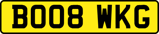 BO08WKG