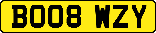 BO08WZY