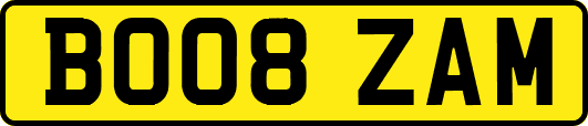 BO08ZAM