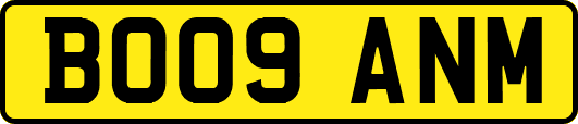 BO09ANM