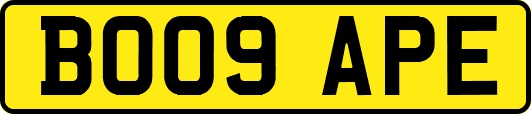 BO09APE