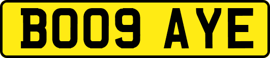 BO09AYE