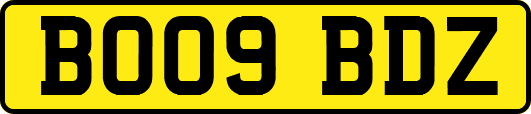 BO09BDZ