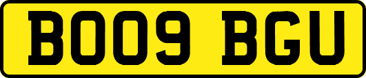 BO09BGU