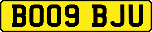 BO09BJU
