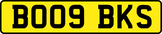 BO09BKS