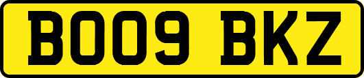 BO09BKZ