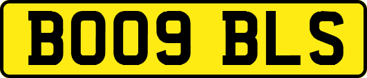 BO09BLS