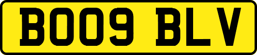BO09BLV
