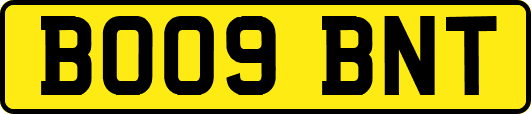 BO09BNT