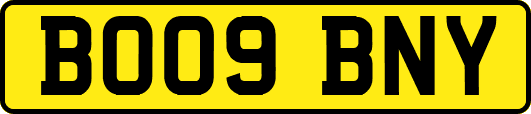 BO09BNY