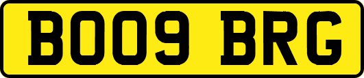 BO09BRG