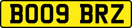 BO09BRZ