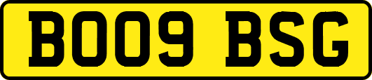 BO09BSG