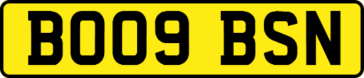 BO09BSN