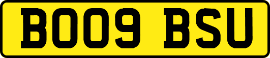 BO09BSU