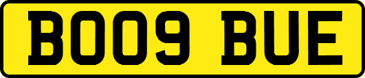 BO09BUE