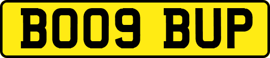 BO09BUP