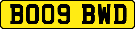 BO09BWD