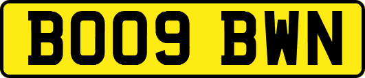 BO09BWN
