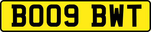 BO09BWT