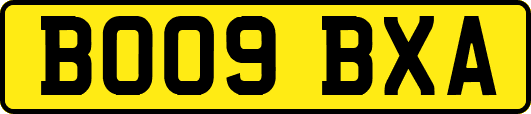 BO09BXA