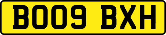 BO09BXH