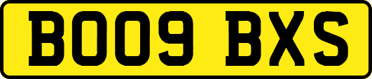 BO09BXS