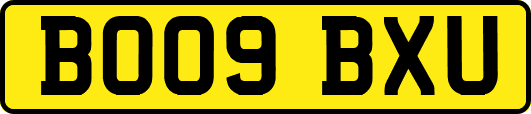 BO09BXU