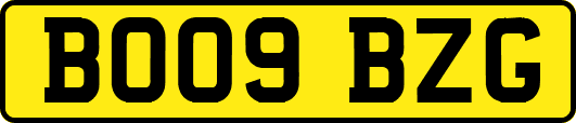 BO09BZG