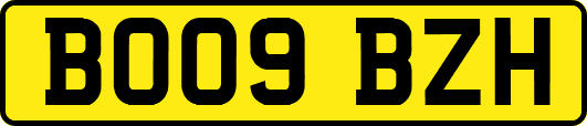 BO09BZH