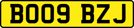 BO09BZJ