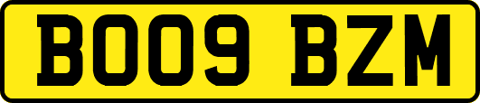 BO09BZM