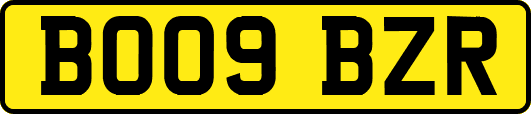 BO09BZR