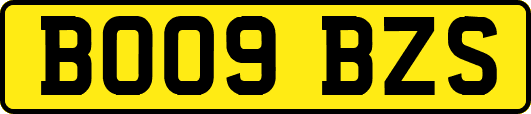 BO09BZS
