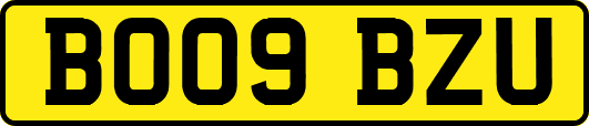 BO09BZU