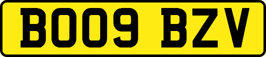 BO09BZV